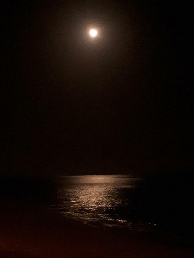 Playa Paraiso - A Dream Over The Ocean كوستا كالما المظهر الخارجي الصورة